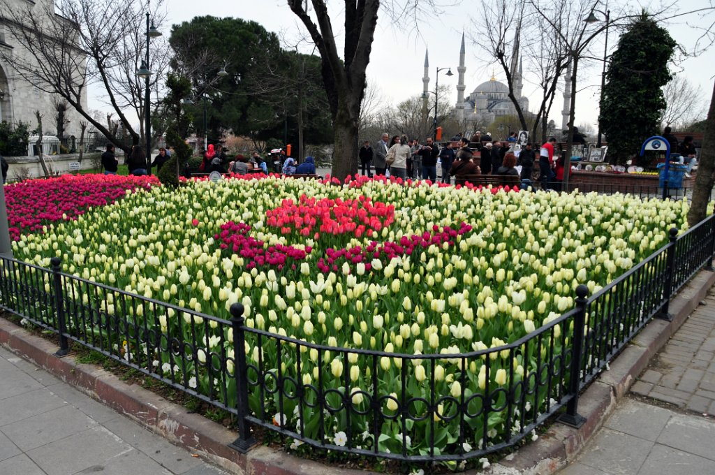 05 Istanbul citta' dei tulipani.JPG